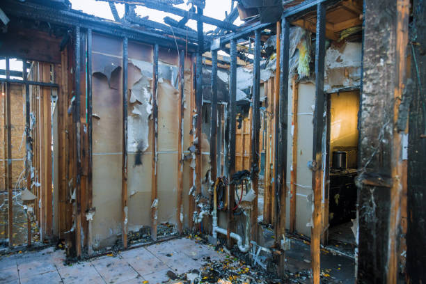 Professional Smoke Damage Removal technician working in Bells, TN